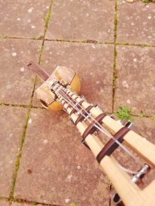 Kamele n'goni 10 string