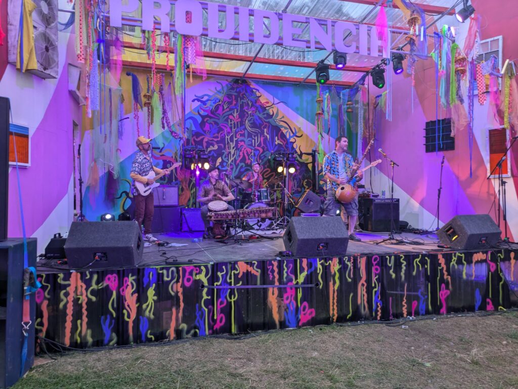 Manden Express performing at Electric Picnic